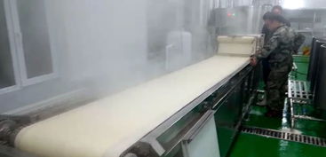 全自动干豆腐机支撑起了一个豆制品厂